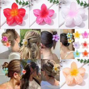 Korean hair catcher clip in Pakistan styling tool